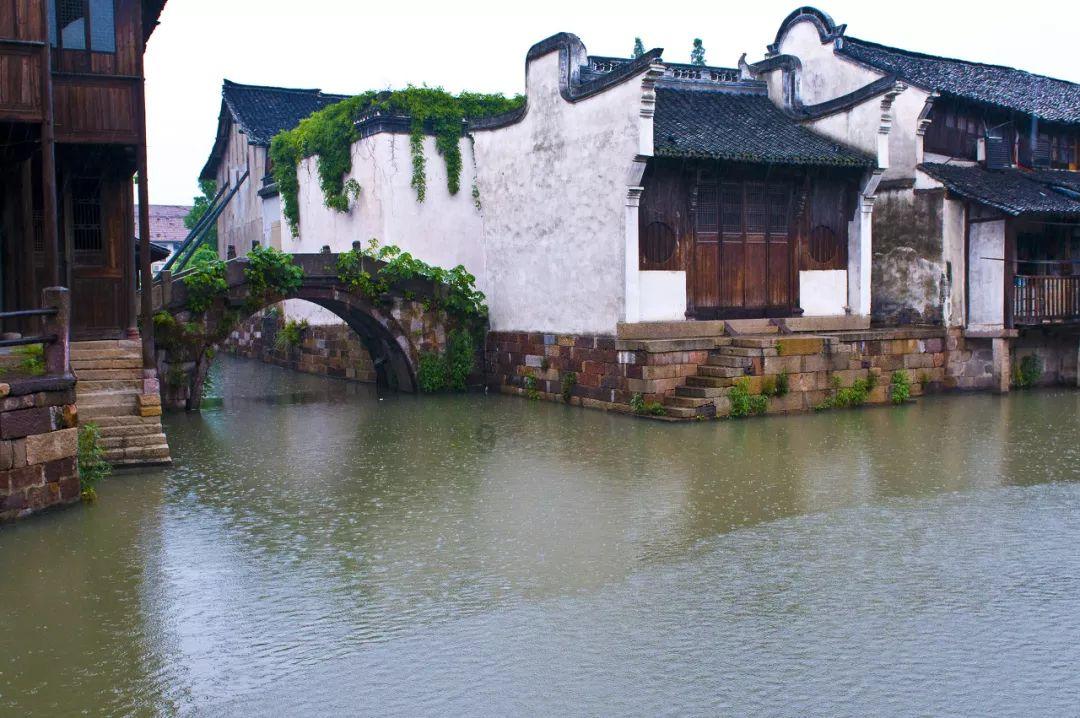花瓶粉碎者